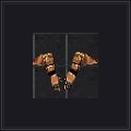 Dragon Gloves